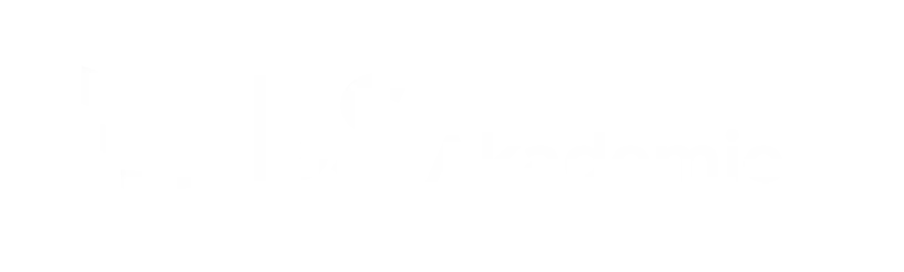BSA Logo weiß